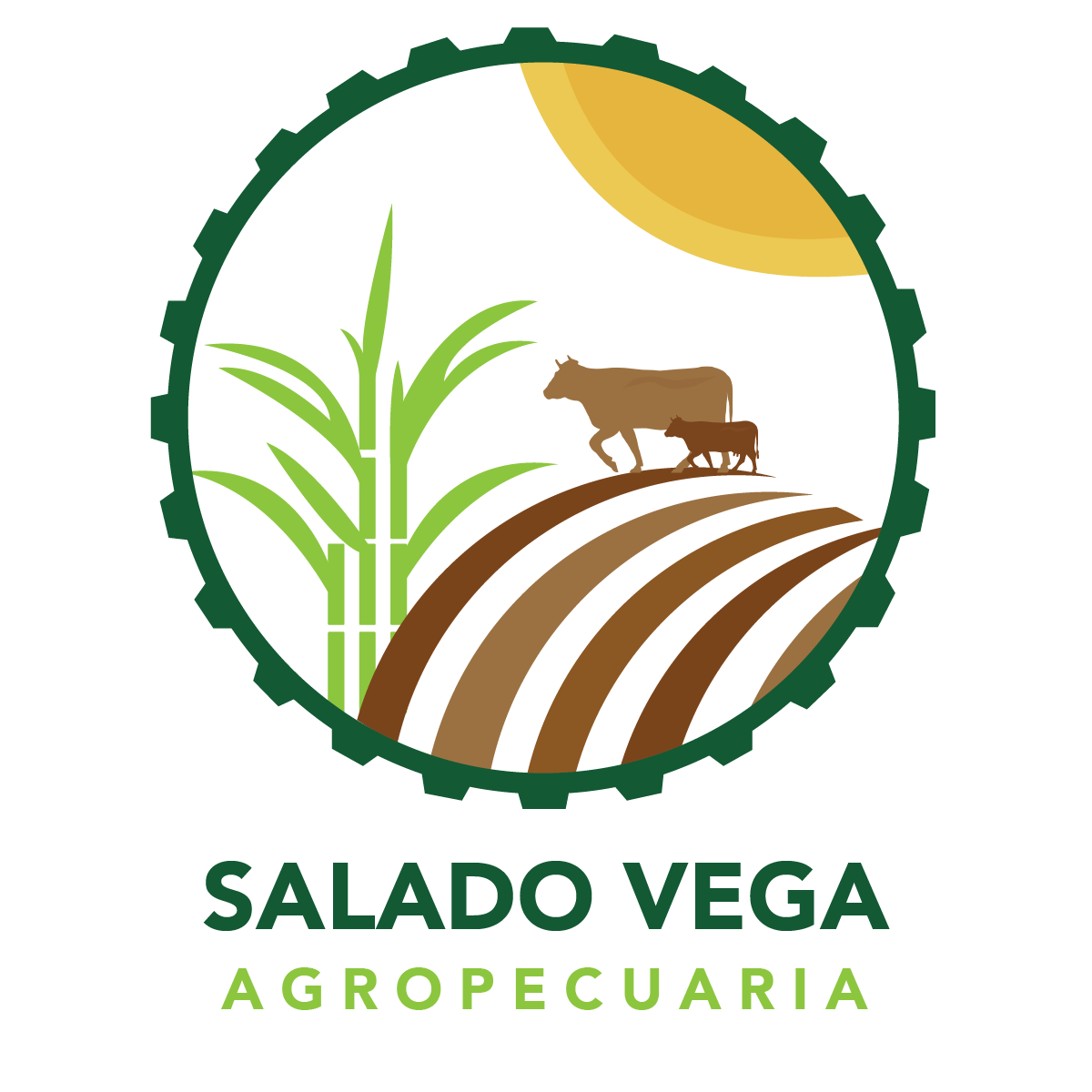 Agropecuaria Salado Vega
